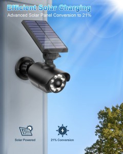 Solar Monitoring Lamp