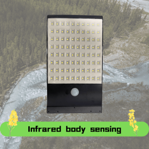 Solor Body Sensor Wall Light