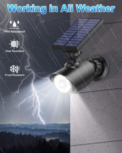 Solar Monitoring Lamp